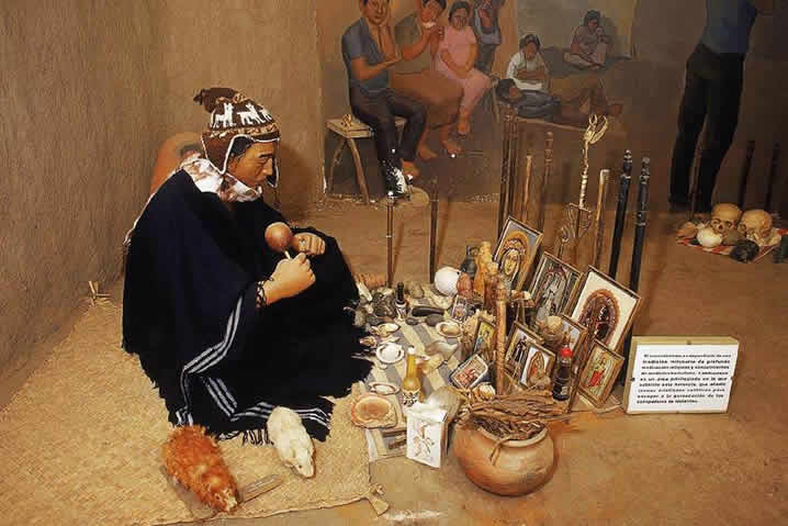 Shamanic Basic Training